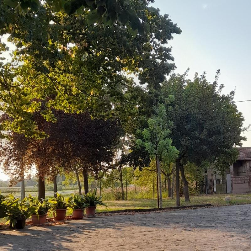Fotosegnalazione di Modena periferia nord-est