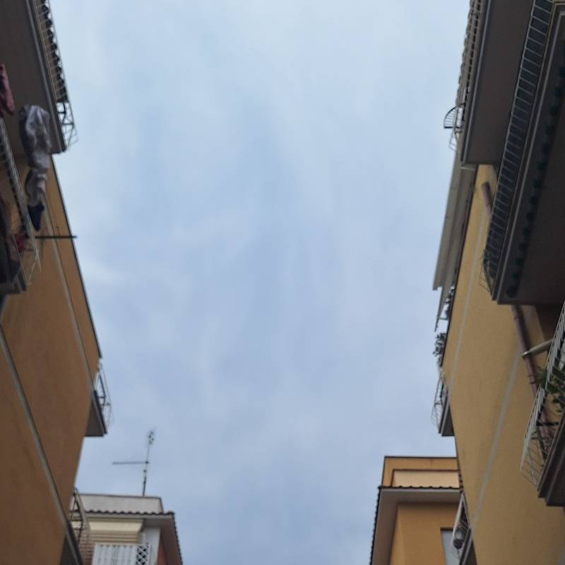 Fotosegnalazione di Roma tor sapienza