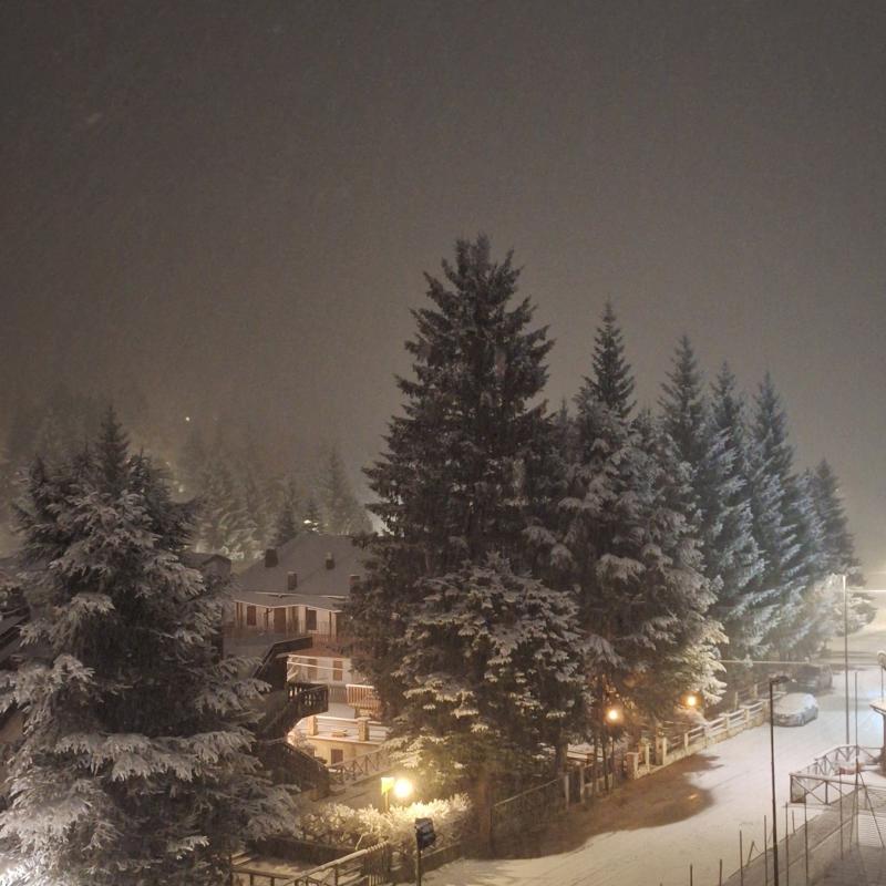 Fotosegnalazione di Camporotondo