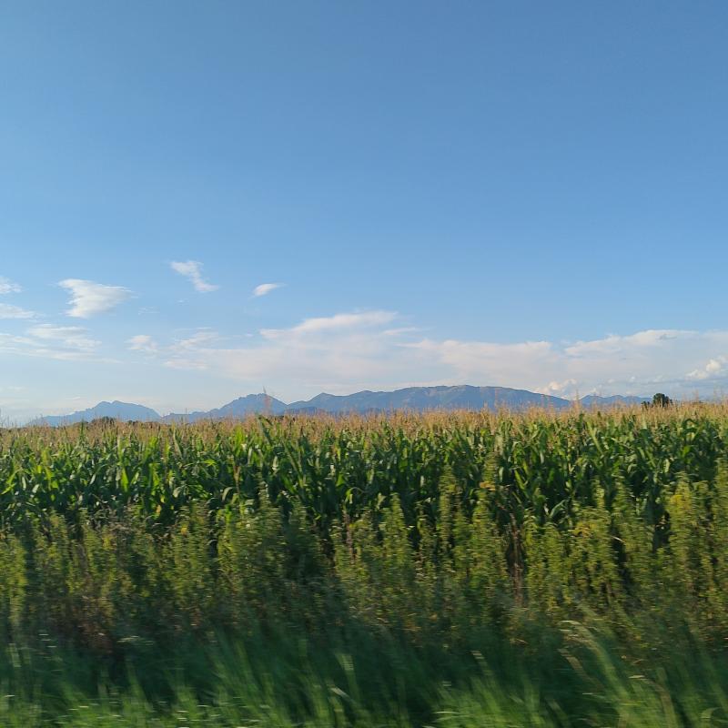 campagna soleggiata
