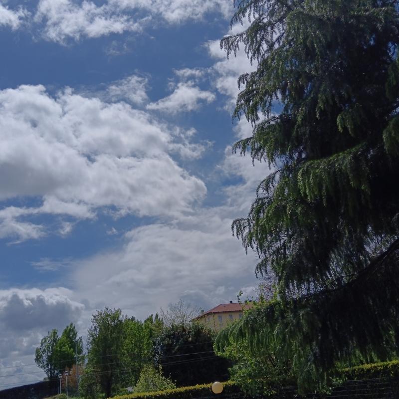 17 aprile 2025