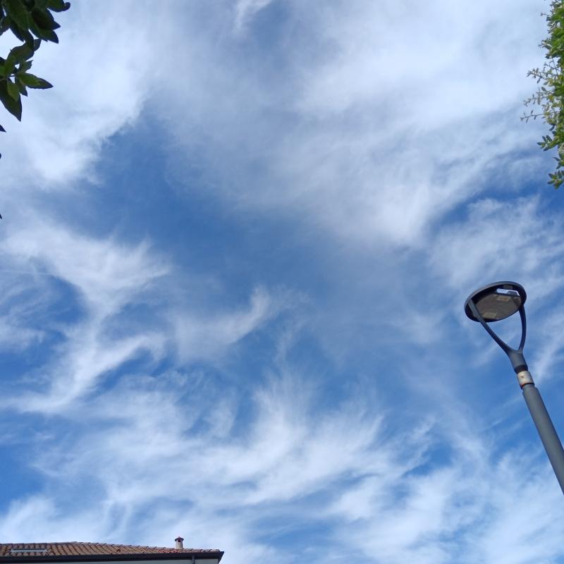 Giornata doc.