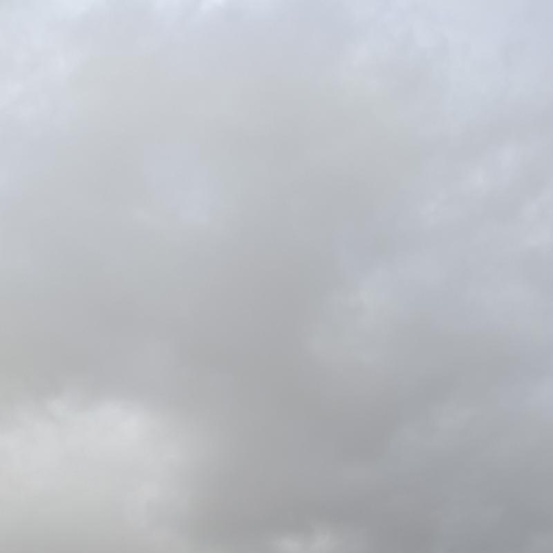 Fotosegnalazione di Roma campitelli