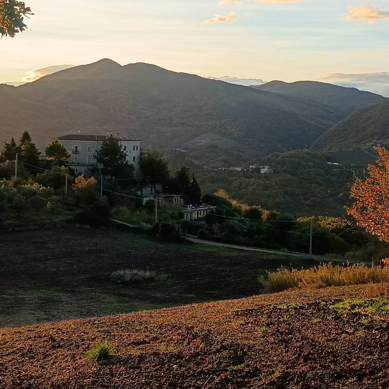 Fotosegnalazione di Carpineto sinello
