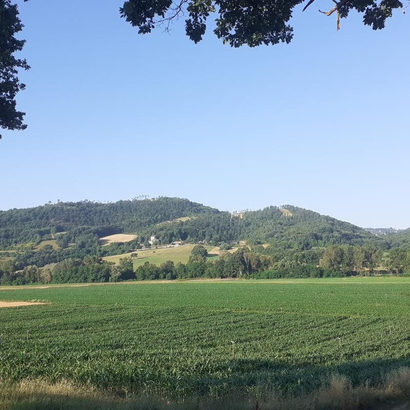 Fotosegnalazione di Gubbio