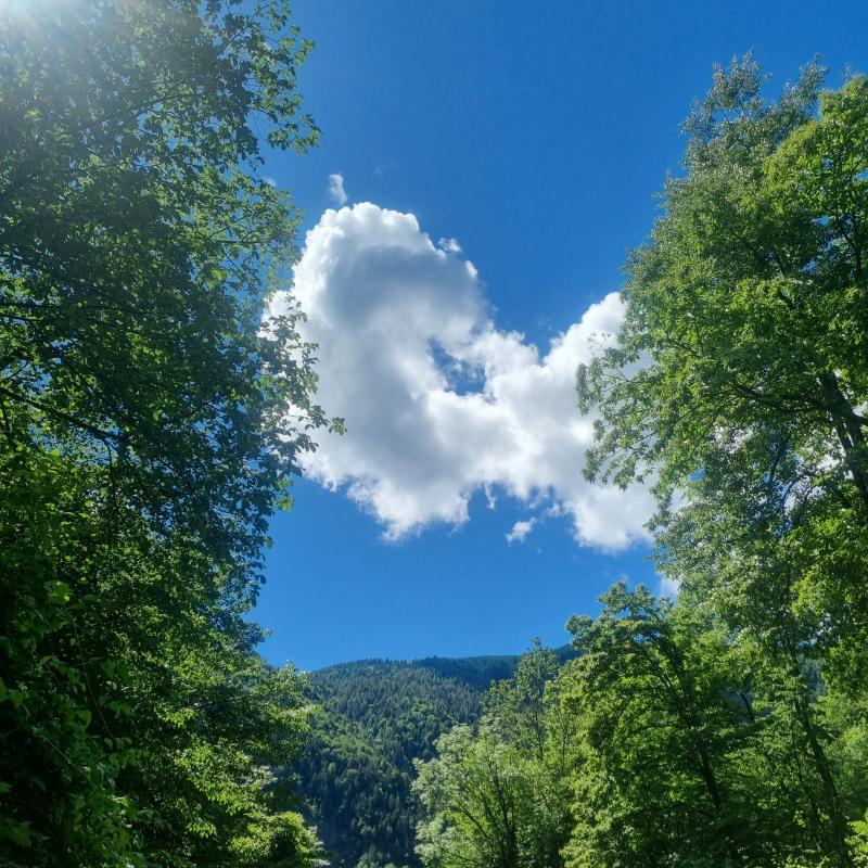 Fotosegnalazione di Borgomezzavalle