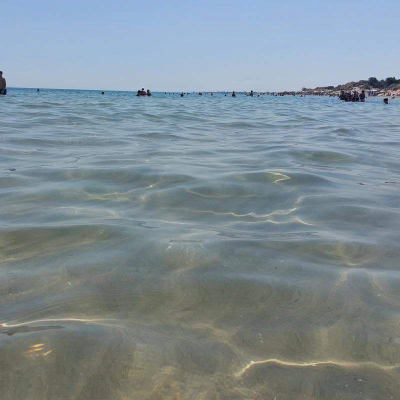 mare piatto