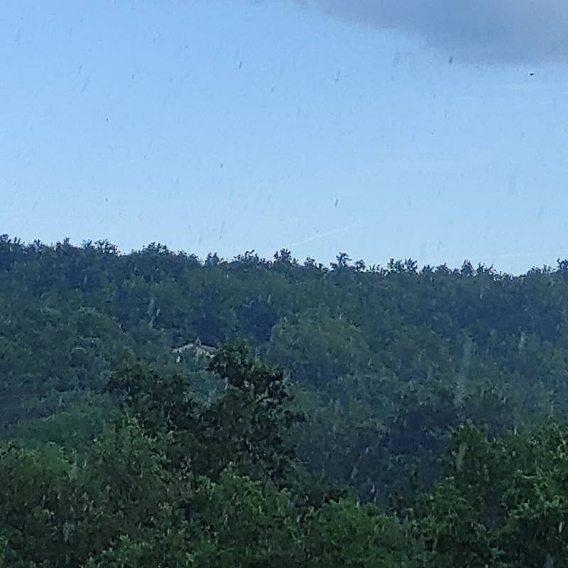 Fotosegnalazione di Albona