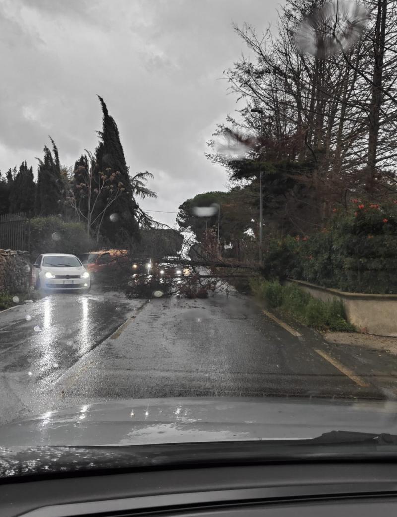 albero e detriti in via g. fanales
