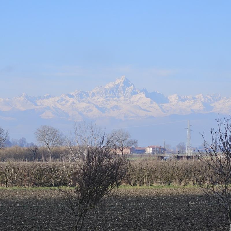 Fotosegnalazione di Savigliano