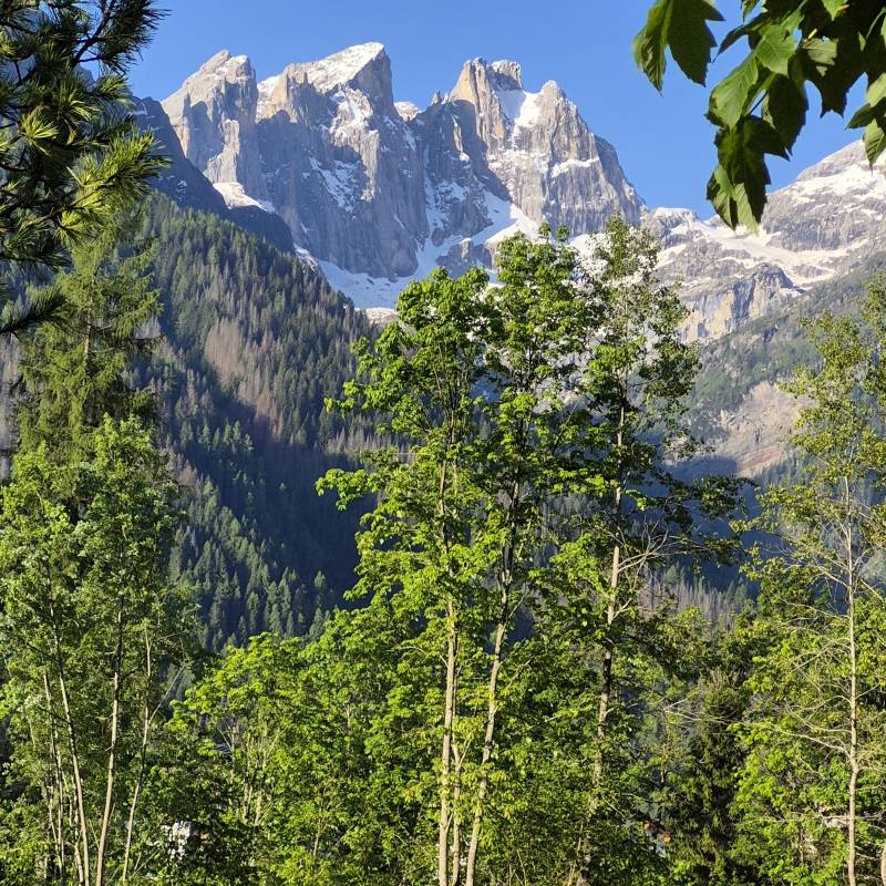 Cime del focobon pale di san martino
