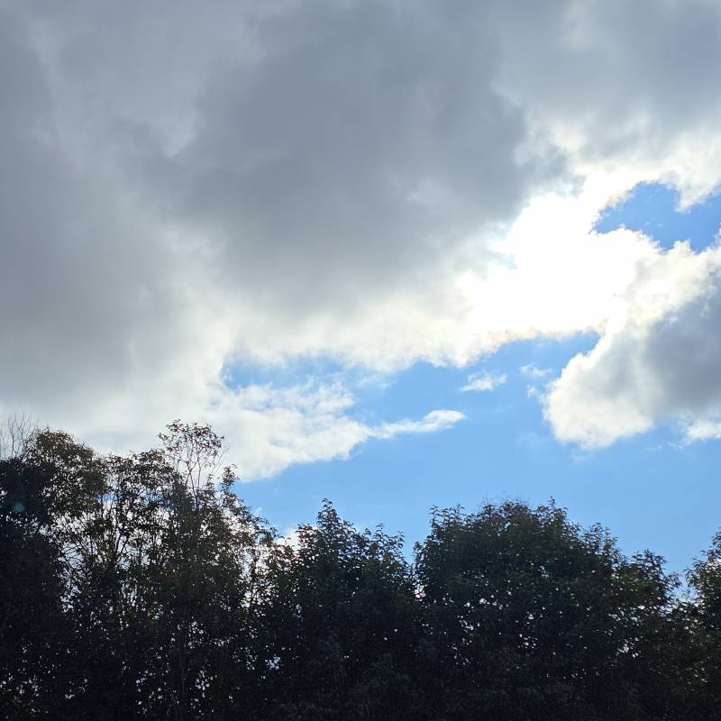 Fotosegnalazione di Precenicco