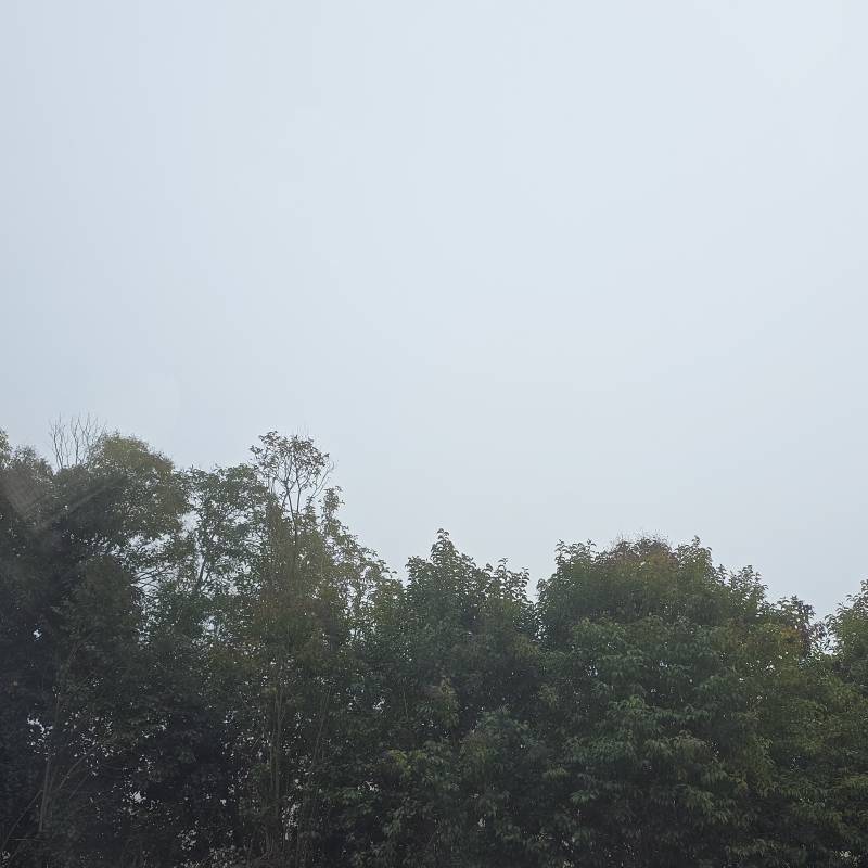 Fotosegnalazione di Precenicco