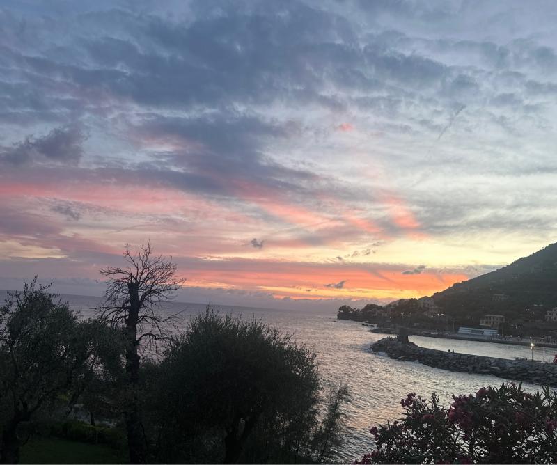 Fotosegnalazione di Recco
