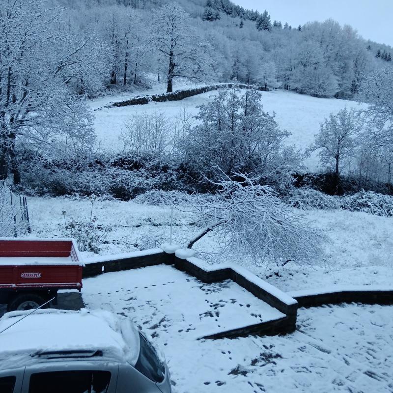 Neve