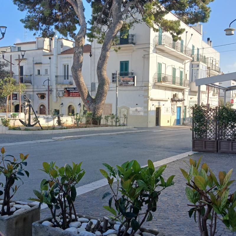 Fotosegnalazione di Peschici