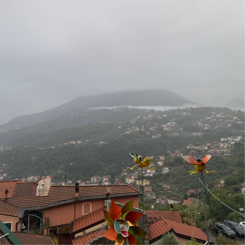 Fotosegnalazione di La spezia ovest