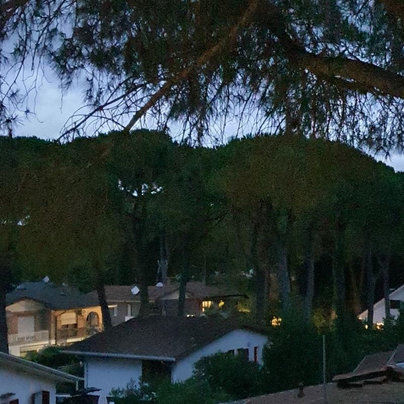 Fotosegnalazione di Lignano sabbiadoro