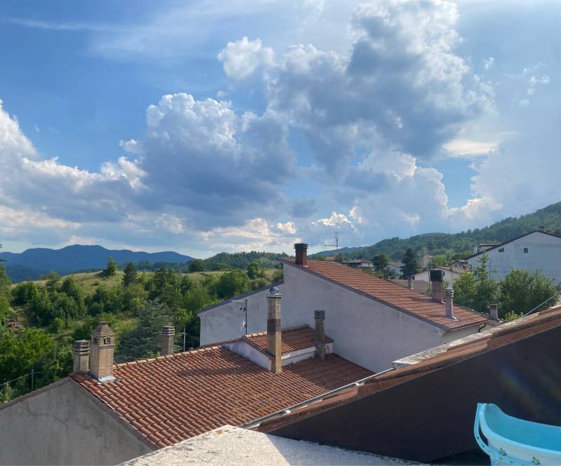 Fotosegnalazione di Ateleta