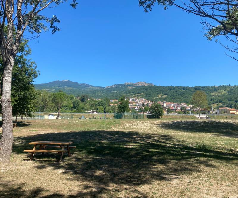 Domenica 6 luglio 2025 - area picnic