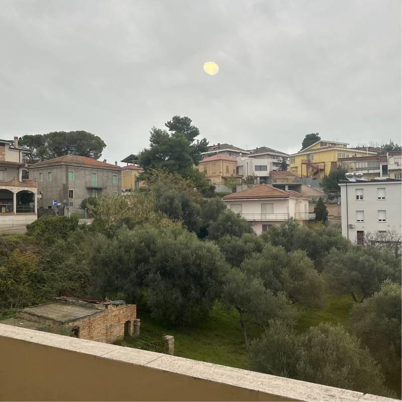 Fotosegnalazione di Montesilvano colle