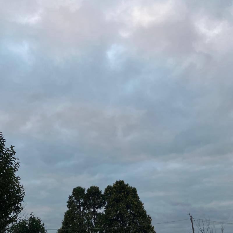 Fotosegnalazione di Figino serenza