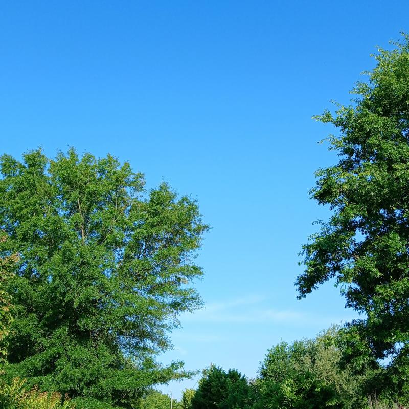 Fotosegnalazione di Figino serenza