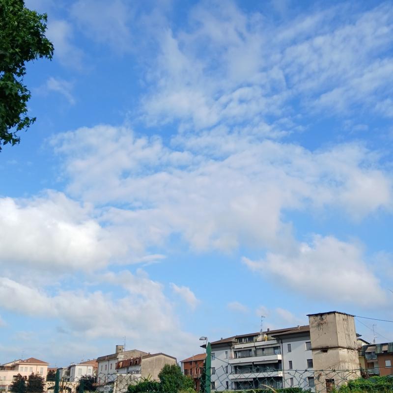 Fotosegnalazione di Figino serenza