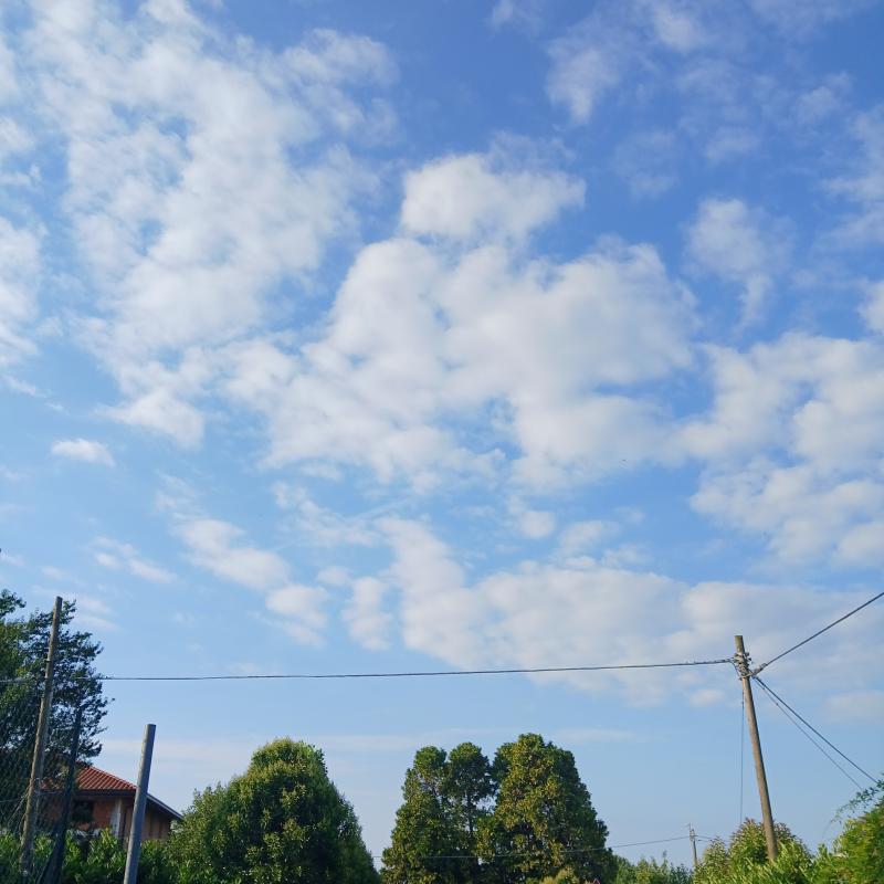 Fotosegnalazione di Figino serenza