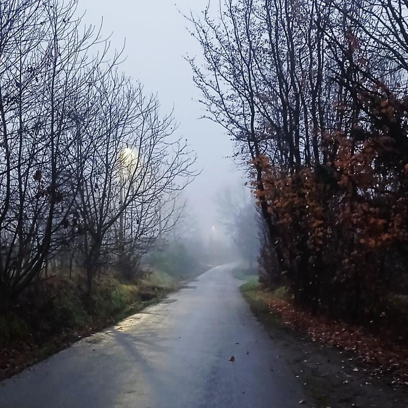 Fotosegnalazione di Figino serenza