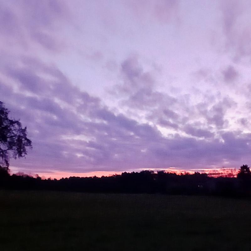 Fotosegnalazione di Figino serenza