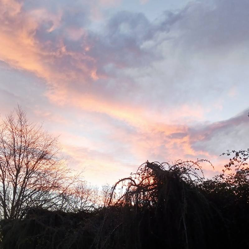Fotosegnalazione di Figino serenza