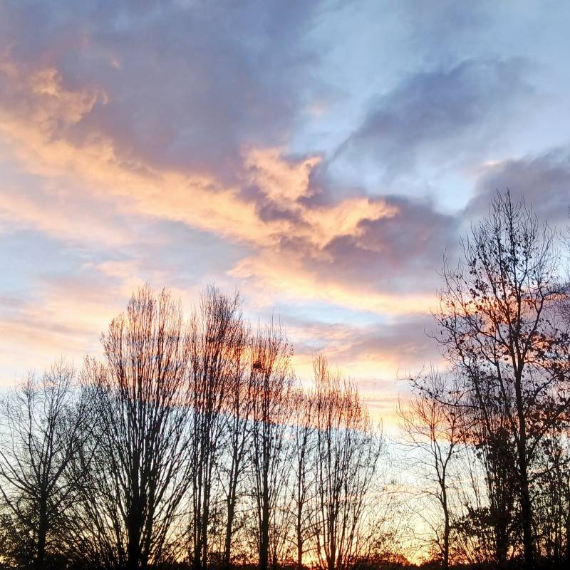 Fotosegnalazione di Figino serenza