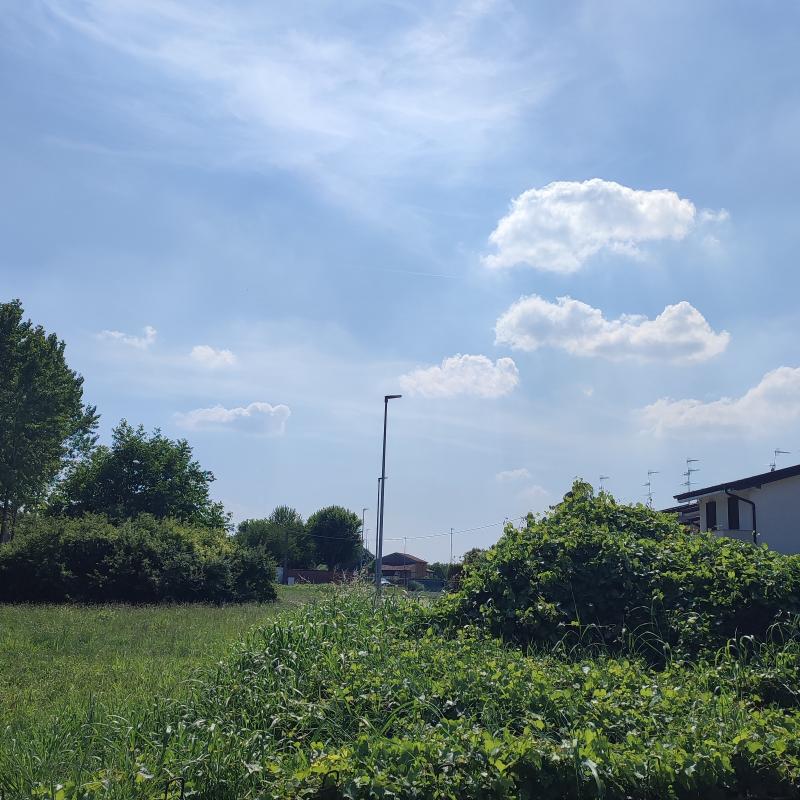 Fotosegnalazione di Commessaggio