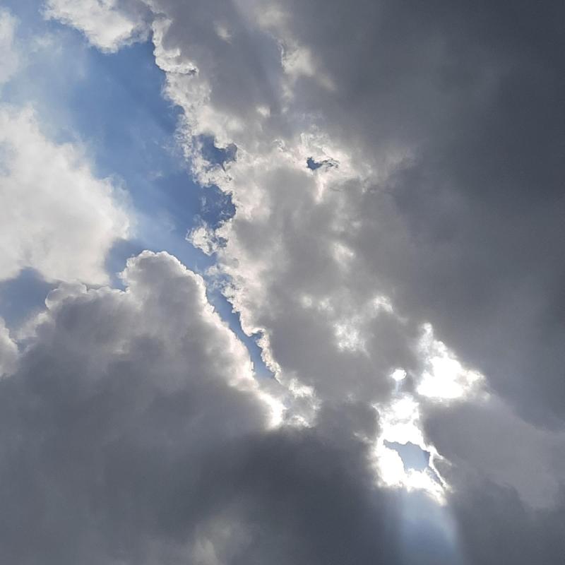 tra luce ed ombra...