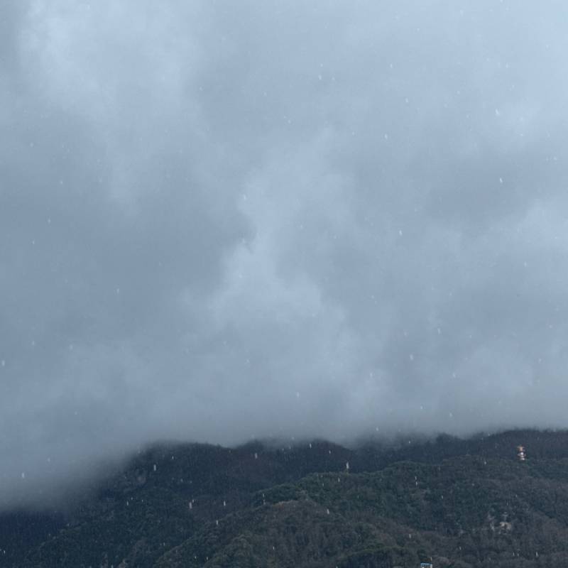 Fotosegnalazione di Castellammare di stabia