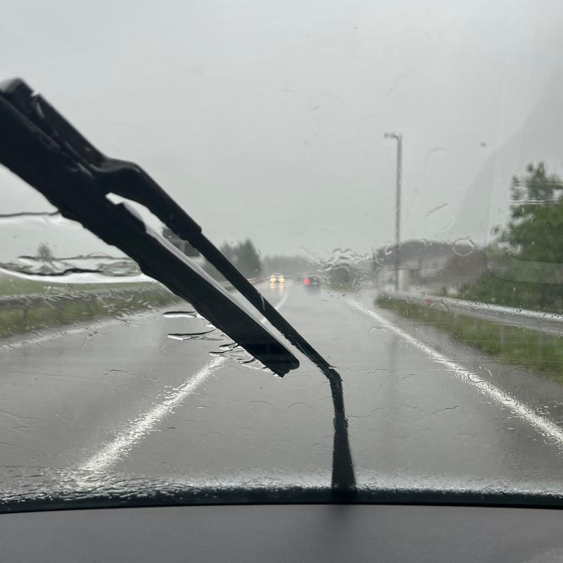 Fotosegnalazione di Faedo