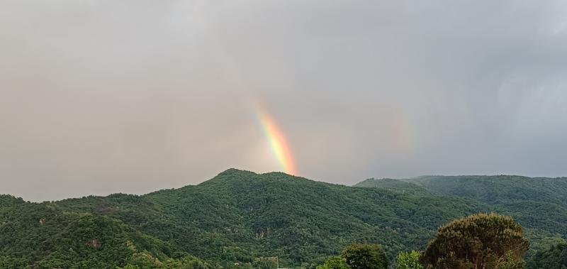 Barge arcobaleno