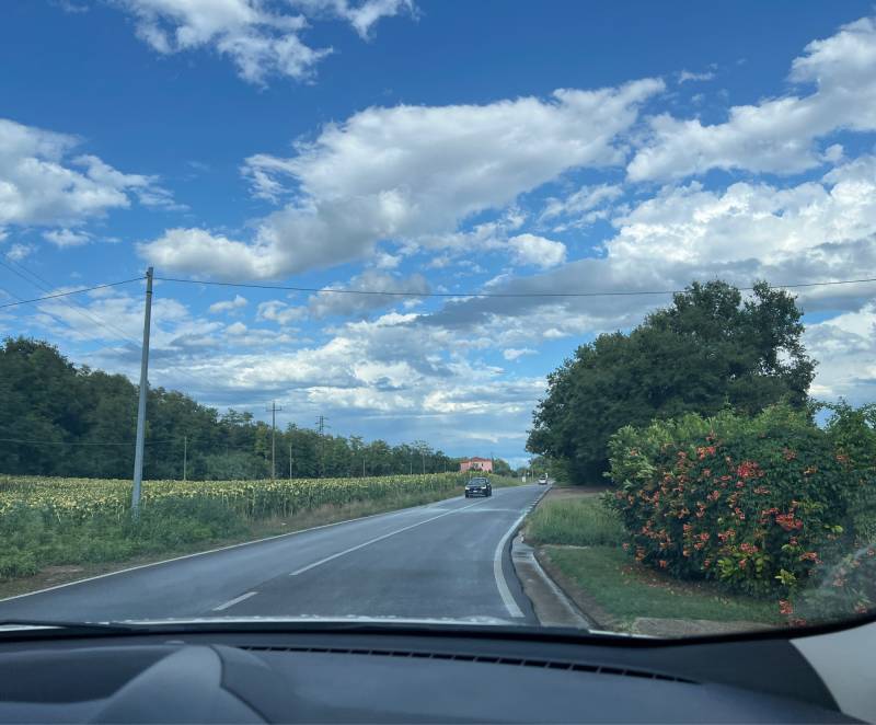 Fotosegnalazione di Picciano
