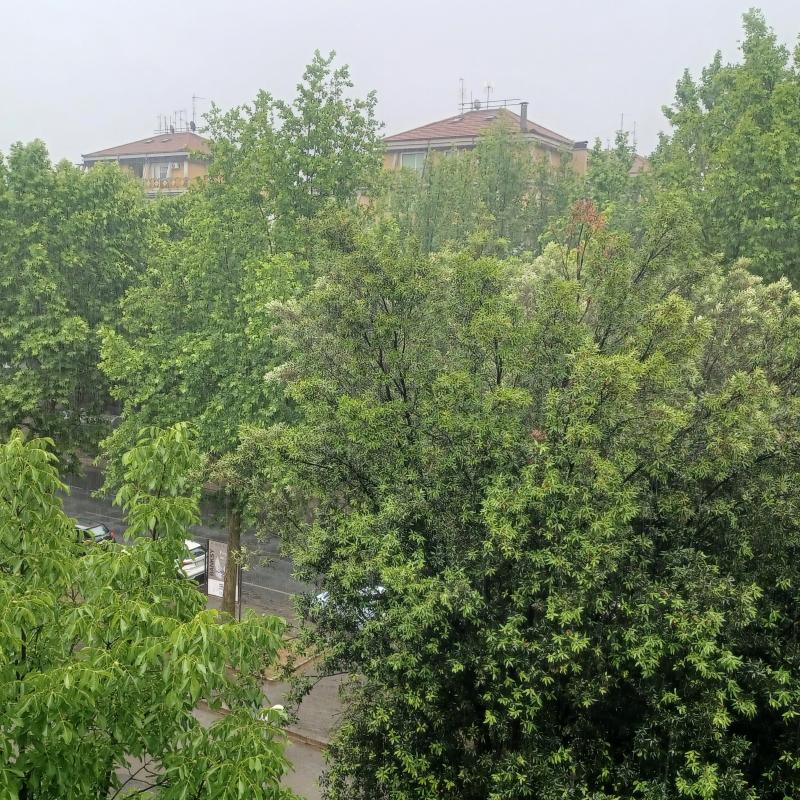 Fotosegnalazione di Terni centro urbano