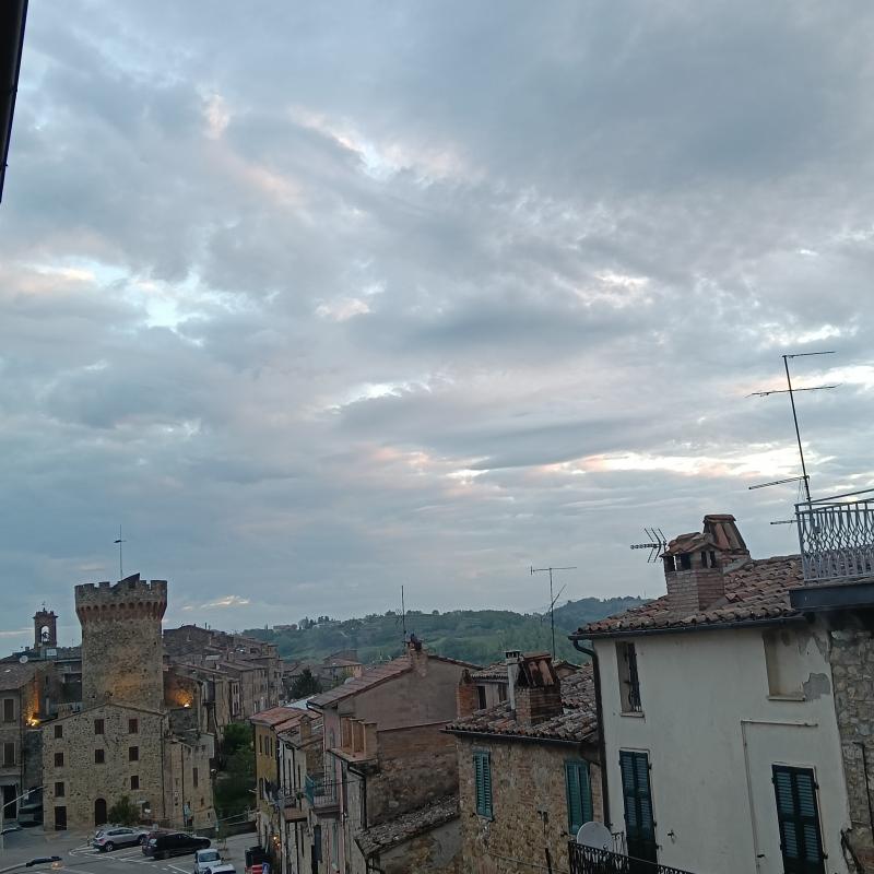 Fotosegnalazione di Ficulle