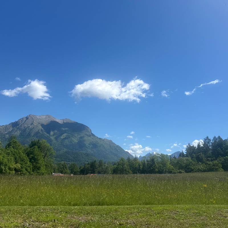 Fotosegnalazione di Belluno bolzano - tisoi