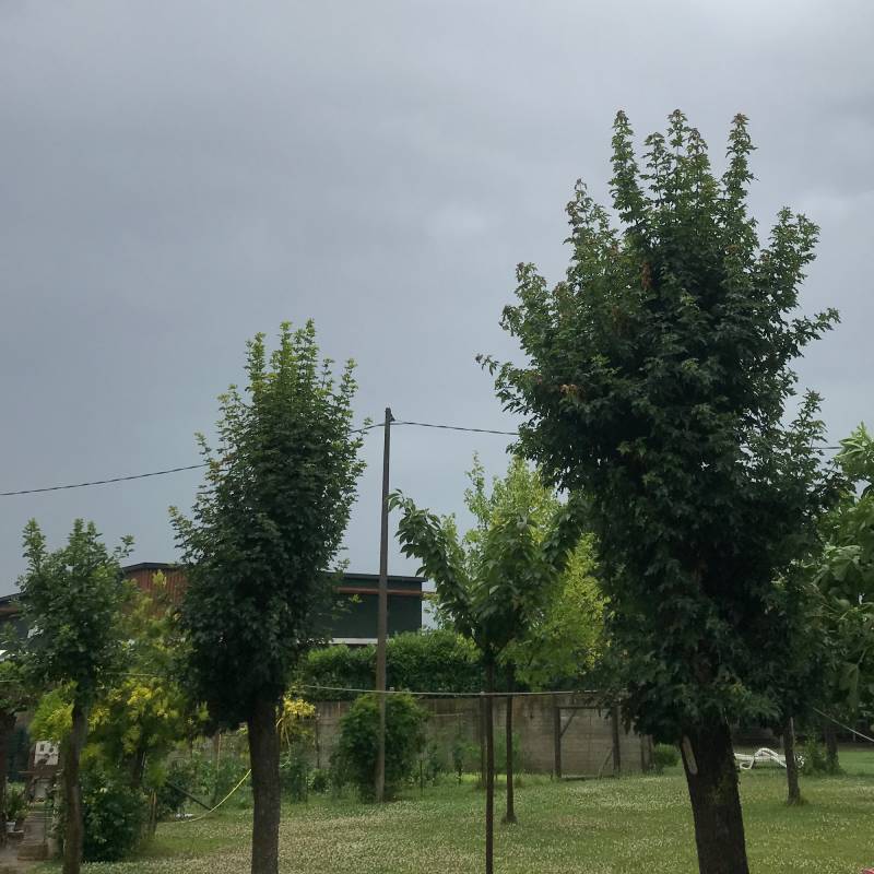 Fotosegnalazione di Monselice