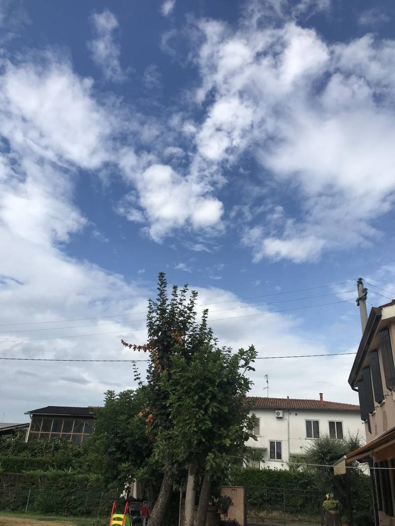 Monselice ore 950 cielo velato temperatura 20