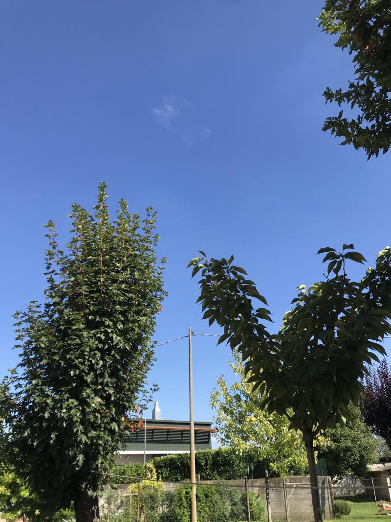 Monselice Cielo sereno leggermente ventilato temperatura 25