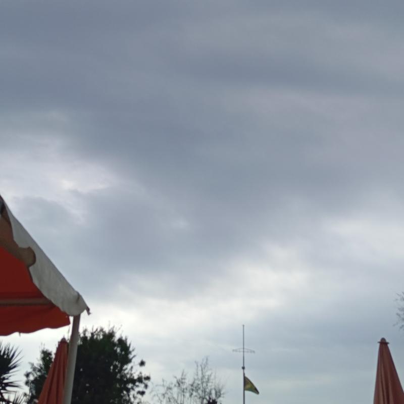 Fotosegnalazione di Viareggio