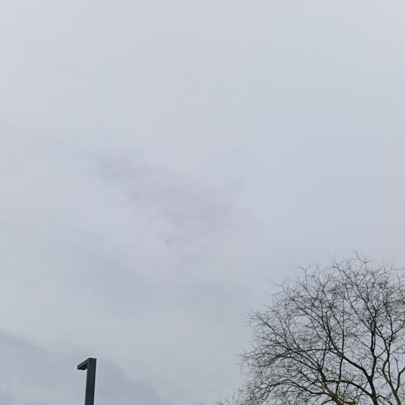 Fotosegnalazione di Vinci