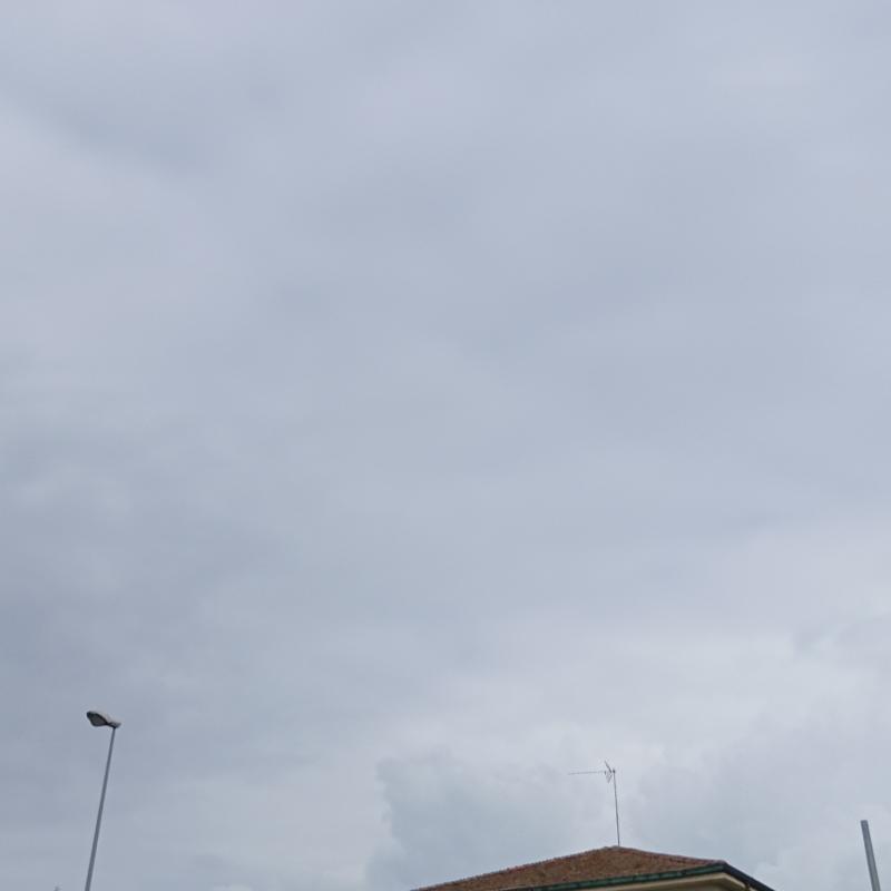 Fotosegnalazione di Vinci