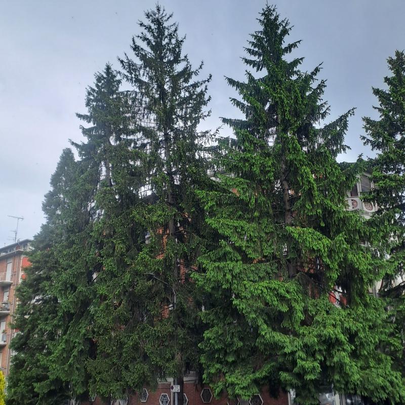 Fotosegnalazione di Pavullo nel frignano