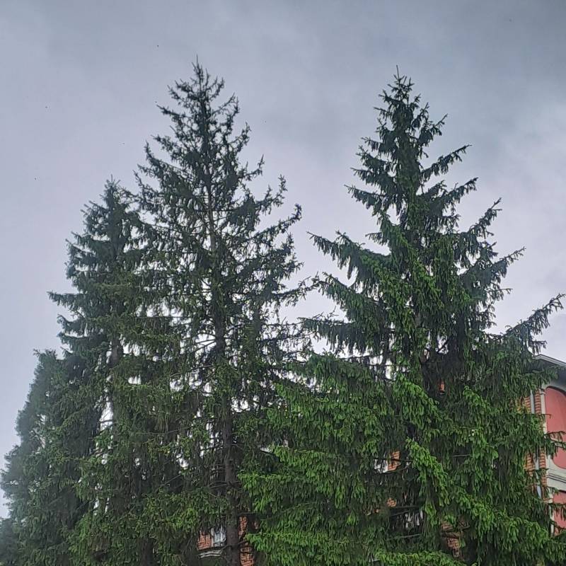 Fotosegnalazione di Pavullo nel frignano